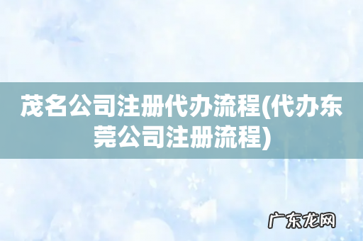 代办东莞公司注册流程 茂名公司注册代办流程
