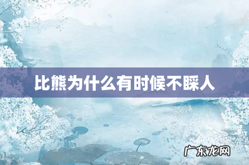 比熊为什么有时候不睬人