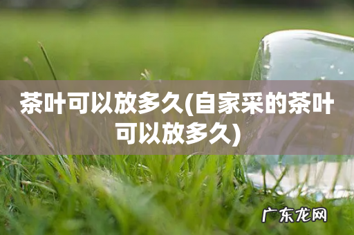 自家采的茶叶可以放多久 茶叶可以放多久