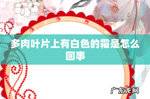 多肉叶片上有白色的霜是怎么回事