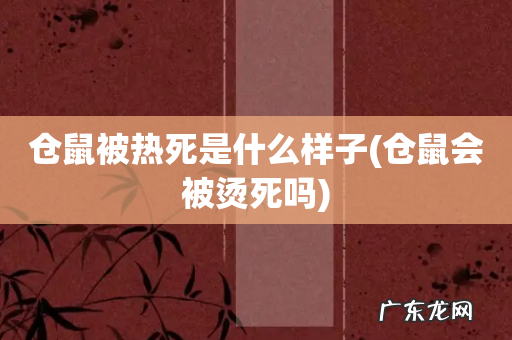 仓鼠会被烫死吗 仓鼠被热死是什么样子