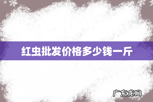红虫批发价格多少钱一斤