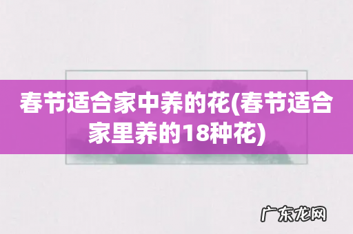 春节适合家里养的18种花 春节适合家中养的花
