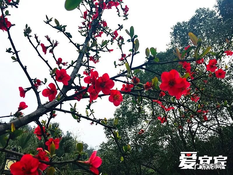 白塔山图片 高县白塔历史