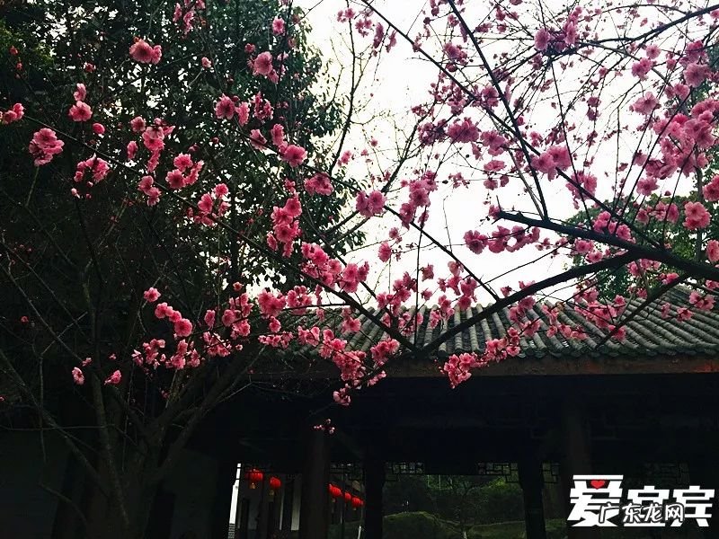 白塔山图片 高县白塔历史