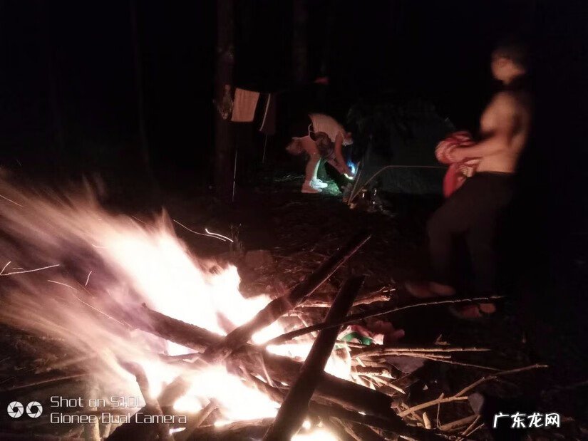 禾雀花有毒吗 关于禾雀花的风水