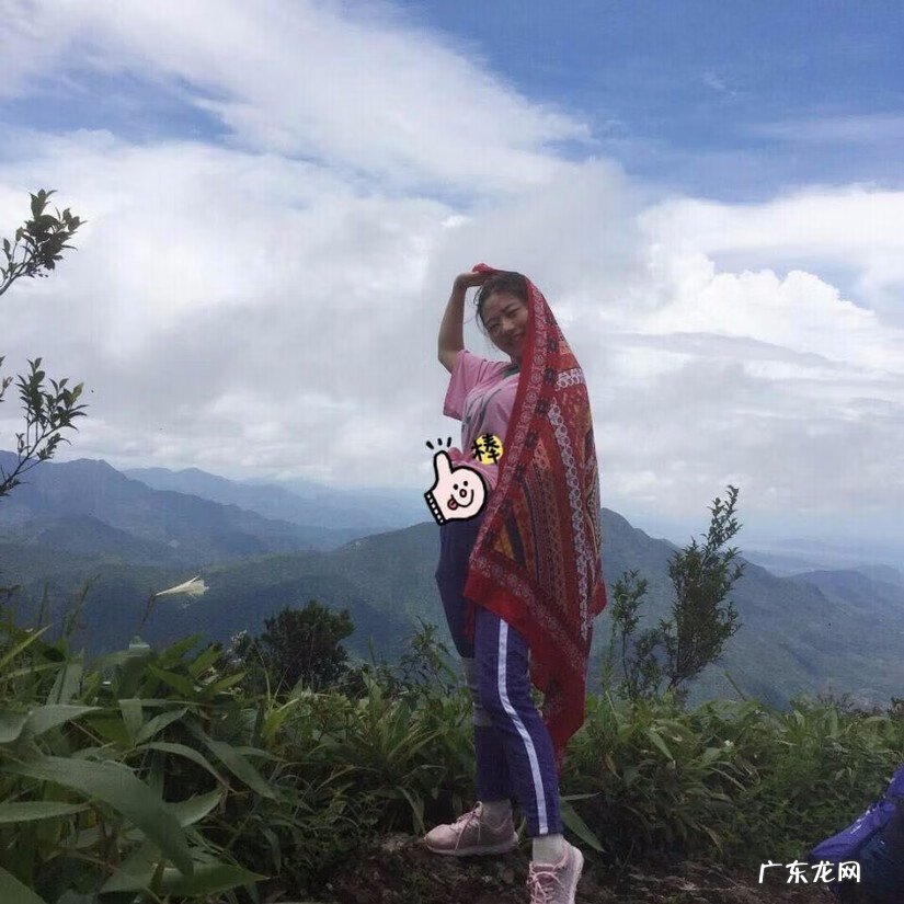 禾雀花有毒吗 关于禾雀花的风水