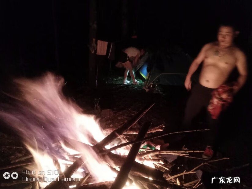 禾雀花有毒吗 关于禾雀花的风水