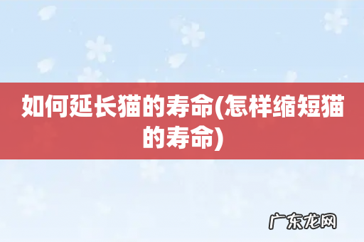 怎样缩短猫的寿命 如何延长猫的寿命