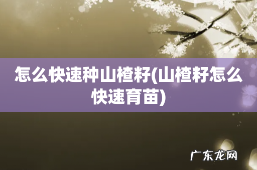 山楂籽怎么快速育苗 怎么快速种山楂籽