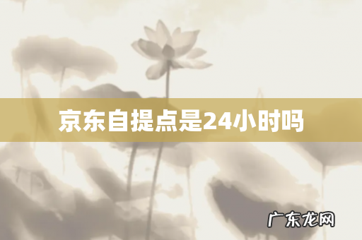 京东自提点是24小时吗