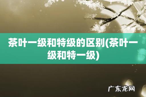 茶叶一级和特一级 茶叶一级和特级的区别