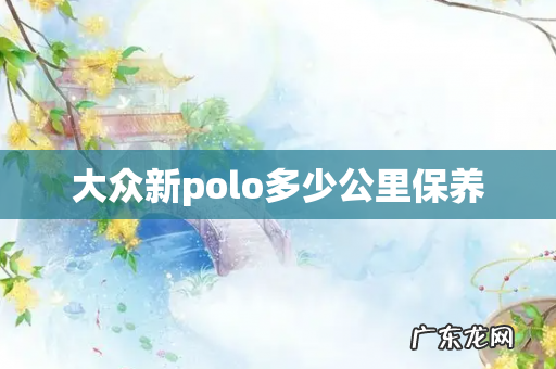 大众新polo多少公里保养