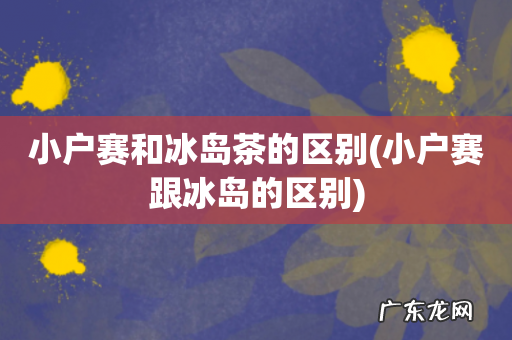 小户赛跟冰岛的区别 小户赛和冰岛茶的区别