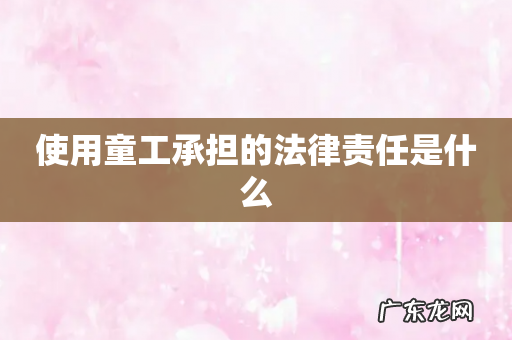 使用童工承担的法律责任是什么