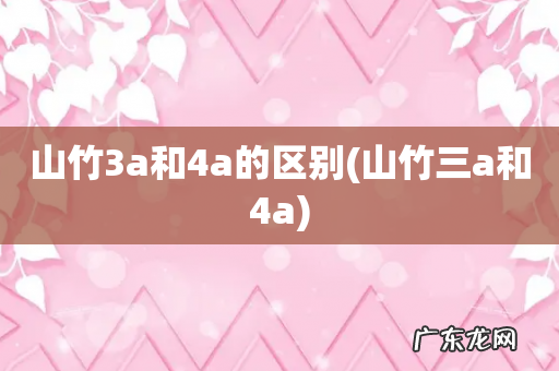 山竹三a和4a 山竹3a和4a的区别