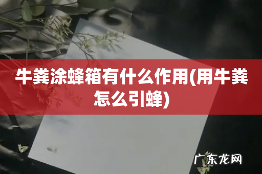 用牛粪怎么引蜂 牛粪涂蜂箱有什么作用