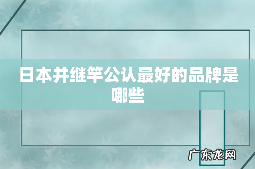 日本并继竿公认最好的品牌是哪些