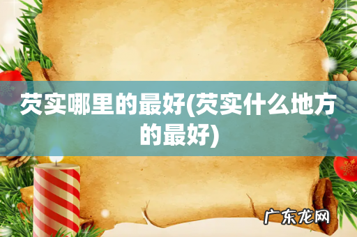 芡实什么地方的最好 芡实哪里的最好
