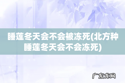 北方种睡莲冬天会不会冻死 睡莲冬天会不会被冻死