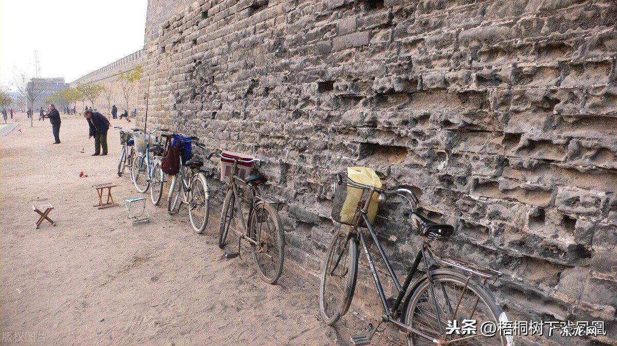 风水中龙有几种 风水中的水龙和山龙的区别