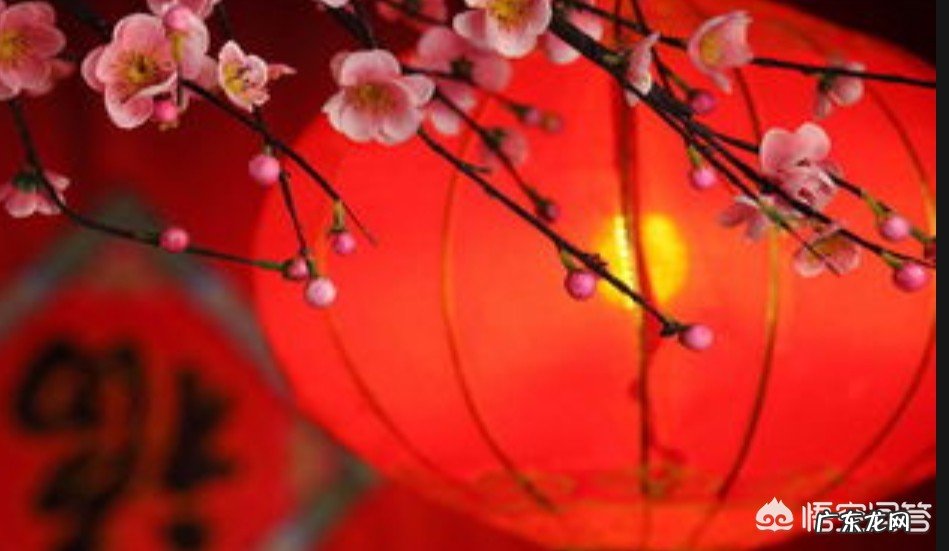 你们春节回家的意义是什么?