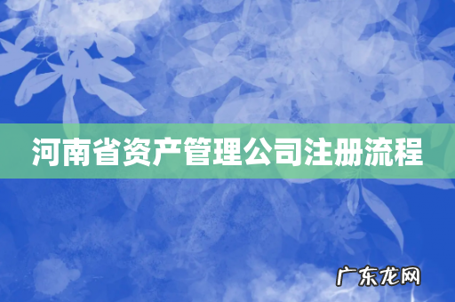 河南省资产管理公司注册流程