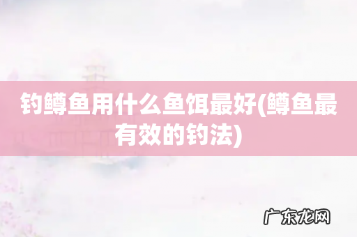 鳟鱼最有效的钓法 钓鳟鱼用什么鱼饵最好