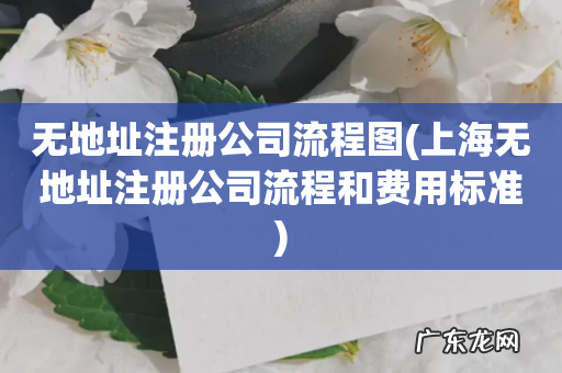 上海无地址注册公司流程和费用标准 无地址注册公司流程图