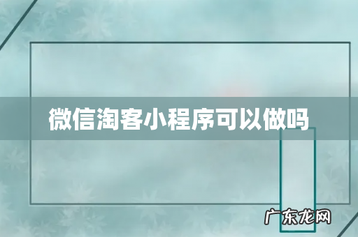 微信淘客小程序可以做吗
