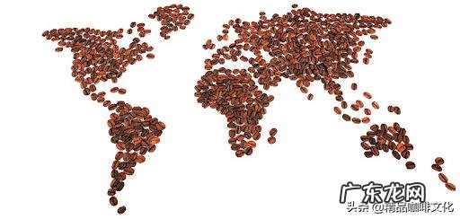 咖啡的热门种类有哪些?