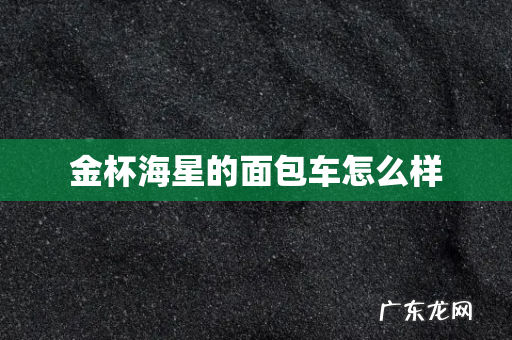 金杯海星的面包车怎么样