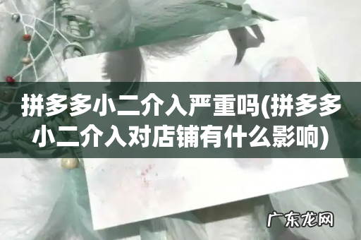 拼多多小二介入对店铺有什么影响 拼多多小二介入严重吗