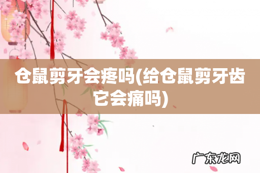 给仓鼠剪牙齿它会痛吗 仓鼠剪牙会疼吗