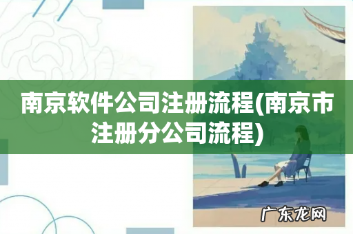 南京市注册分公司流程 南京软件公司注册流程