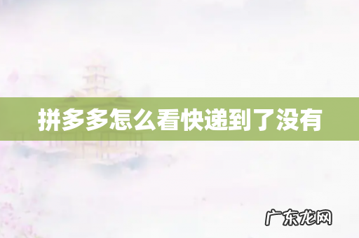 拼多多怎么看快递到了没有