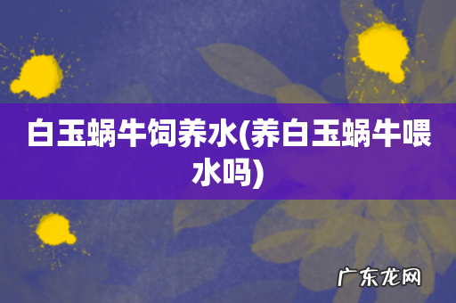 养白玉蜗牛喂水吗 白玉蜗牛饲养水