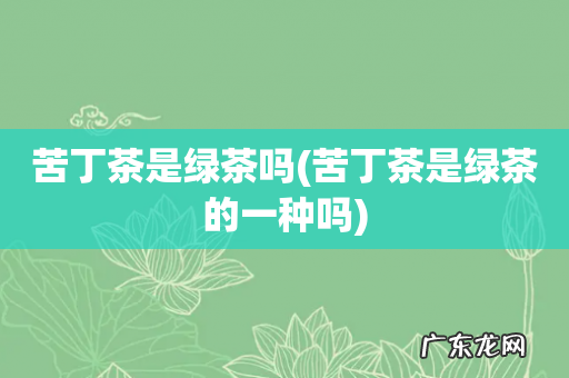 苦丁茶是绿茶的一种吗 苦丁茶是绿茶吗