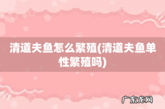清道夫鱼单性繁殖吗 清道夫鱼怎么繁殖