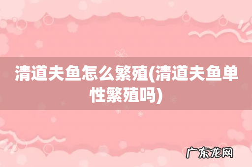 清道夫鱼单性繁殖吗 清道夫鱼怎么繁殖