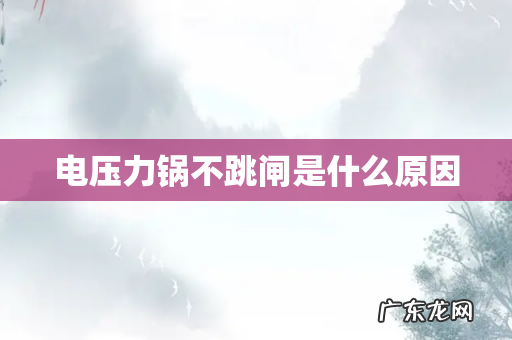 电压力锅不跳闸是什么原因