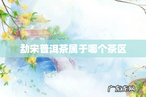 勐宋普洱茶属于哪个茶区