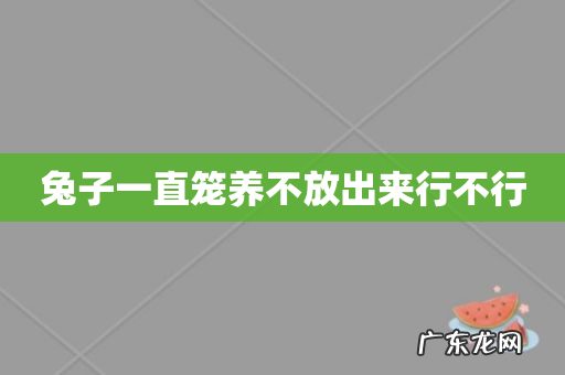 兔子一直笼养不放出来行不行