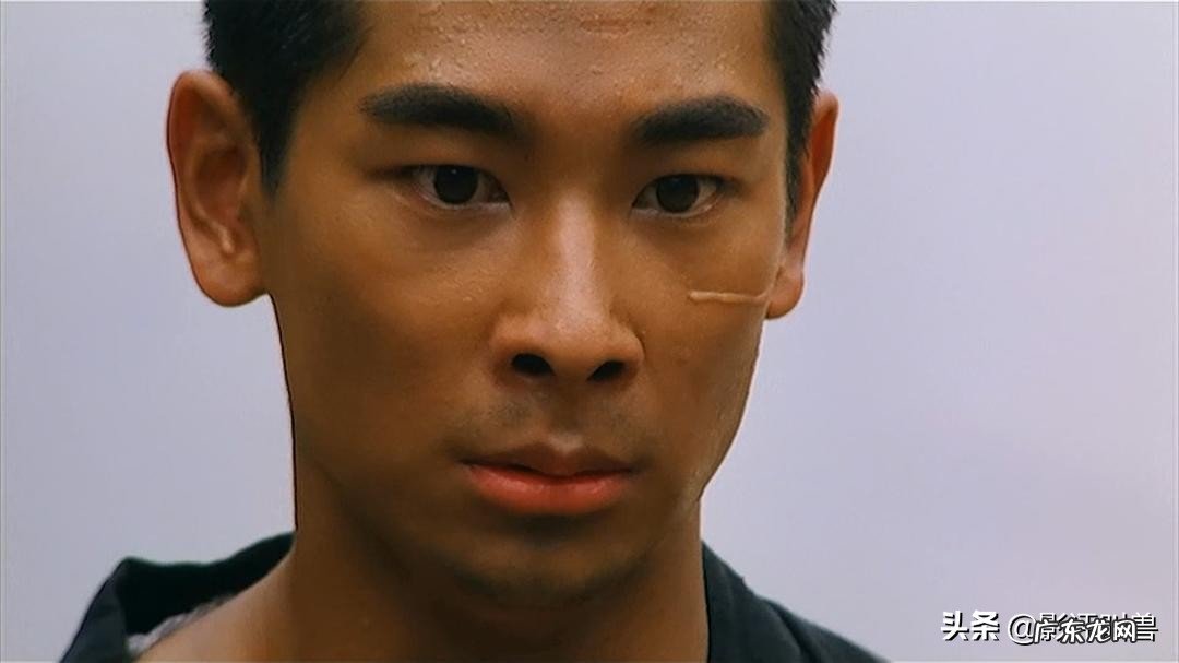 有哪些电影口碑很好,但是票房却不高?