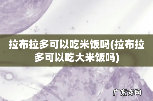 拉布拉多可以吃大米饭吗 拉布拉多可以吃米饭吗