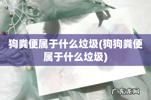 狗狗粪便属于什么垃圾 狗粪便属于什么垃圾