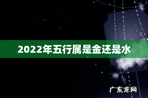 2022年五行属是金还是水