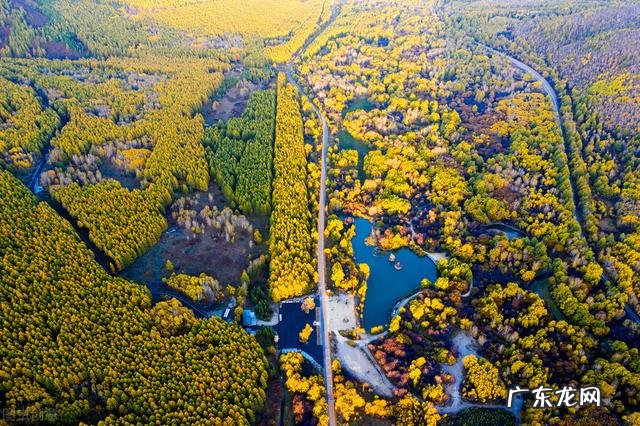 长白起灵归什么意思 长白十年起灵归