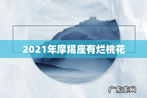 2021年摩羯座有烂桃花