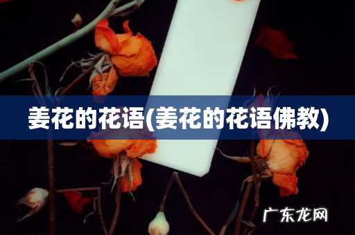 姜花的花语佛教 姜花的花语